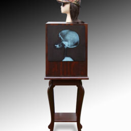 Invented Self by Judith Peck